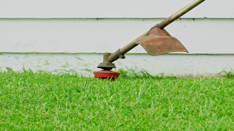 Best Lawn Irrigation Installation and Maintenance  in Versailles, PA